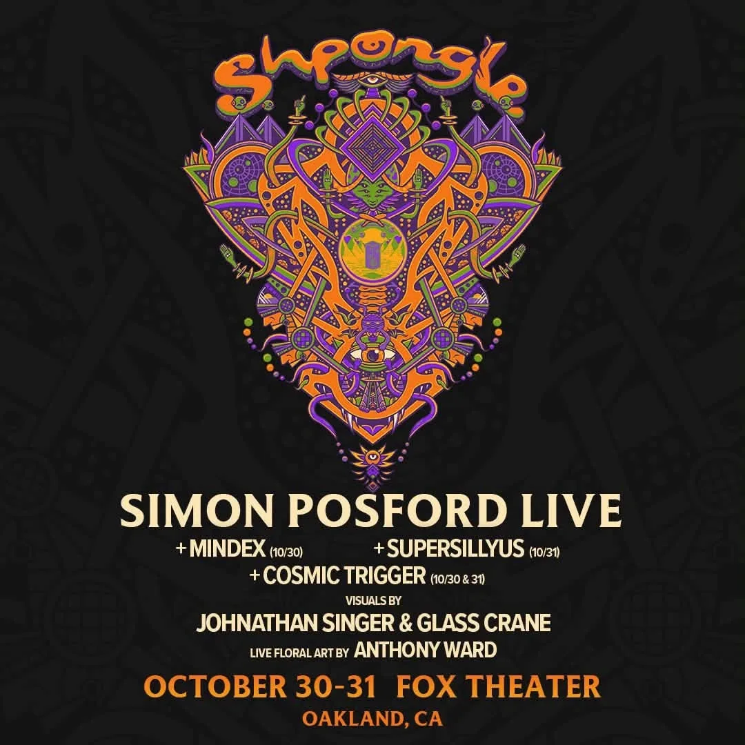 Shpongle - Simon Posford (Halloween Weekend)